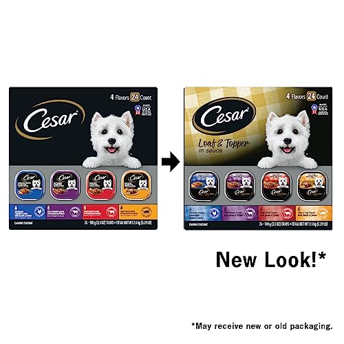 CESAR WET DOG FOOD LOAF IN SAUCE ROTISSERIE CHICKEN, FILET MIGNON, ANGUS BEEF, AND HAM & EGG FLAVORS VARIETY PACK, 3.5 OZ. EASY PEEL TRAYS (24 COUNT, PACK OF 1)