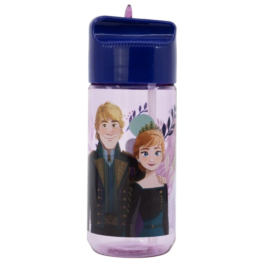 Frozen Characters Childrens Tritan Reusable Drinking Bottle 430ml - Holiday, Back to School Lunch Kids BPA free Plastic (Frozen)