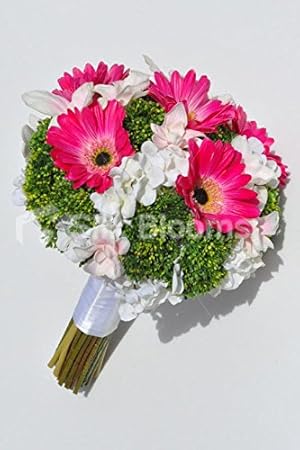 Arts Crafts Sewing Kesoto 1 Bag Pressed Natural Dried Flower