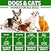 Kinpur Natural Hemp Oil for Dogs & Cats - 10 000mg - Pet Hemp Oil - Separation Anxiety & Stress Relief - Supports Mobility, Hip & Joint, Immune System - Calming Treats for Dogs - Made in USA