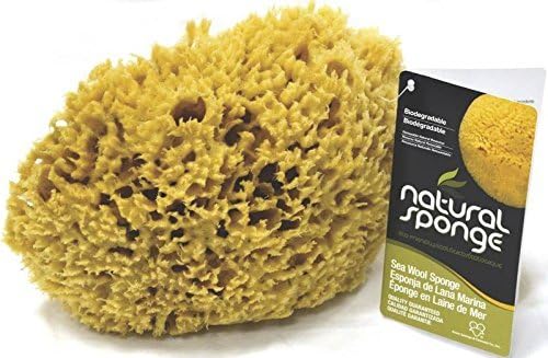 The Natural Sea Sponge, 6 to 7-Inch, Wool by The Natural