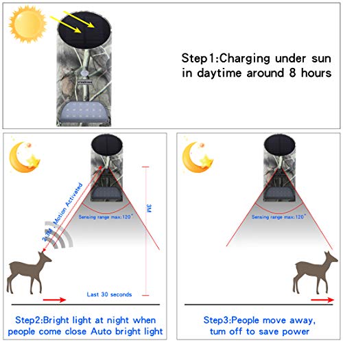 Vizzlema Feeder Hog Light Outdoor Solar Feeder Light For Import