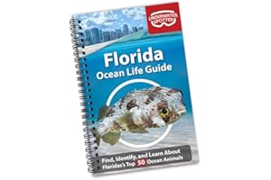 Florida Ocean Life Guide, Underwater Spotter Fish Identification Book For Scuba Divers, Snorkelers and Kids, 50 Fish Species and Marine Animals Scavenger Hunt for Beginners