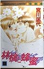 林檎と蜂蜜 第13巻
