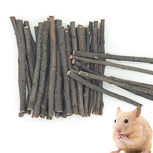 Natural Apple Branches Apple Sticks Chew Toys Molar Sticks for Hamster