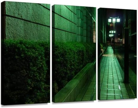 Amazon Co Jp 東京証券取引所 兜町 夜 中央区 日本橋 夜景 日本 証券取引所 日本橋兜町 茅場町 風景 素材 観光地 観光名所モダン アートボード 壁アート 壁掛け モダンアート 壁飾り木枠セット 壁芸術 新築祝い ホーム キッチン