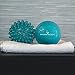 PharMeDoc Acupressure Massage Ball (Spiky) - 2.5 inch - Deep Tissue and Trigger Point Neck, Back, Arm & Foot Massager - Muscle Roller Ball Lacrosse for Physical Therapy, Athletes, Yoga
