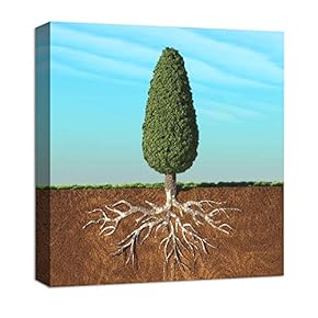 Canvas Wall Art Abstract Beyond Realistic Painting Artwork for Home Prints Framed - 12x12 inches