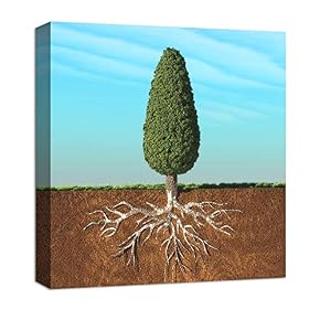 Canvas Wall Art Abstract Beyond Realistic...