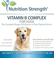 b complex dosage for dogs