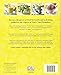 Neal's Yard Remedies Healing Foods