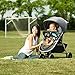 Evenflo Folio Travel System, Blackberry