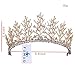 FUMUD Vintage Wedding Bridal Rhinestone pearl Gold Headband Crown Tiara Hair Accessories (Gold)