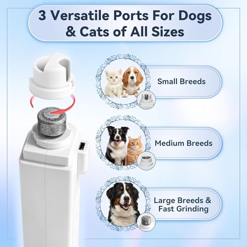2-in-1 Quiet Electric Cat Nail Clipper & Grinder with Dual LED Lights, 3 Speeds for Large Medium Small Dogs Cats, Type-C Rechargeable, Nail Clipping Splash Guard for Anxious Dogs & Cats (White)