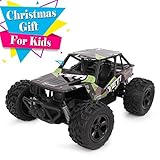 RC Vehicle, Electric Offroad RC Car, 2WD 2.4Ghz Fast Race Control Vehicle Toys for Kids and Adults Christmas Gift, 1/20 Scale