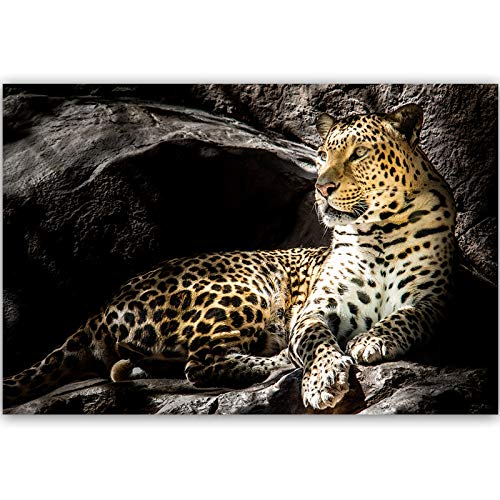 51IzRAvVKML Feeby Cuadro de Pared XXL Leopardo Impresión Lienzo Animal Naturaleza Negro 120x80 cm Feeby Cuadro de Pared XXL Leopardo Impresión Lienzo Animal Naturaleza Negro 120x80 cm - Imagen 3