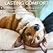 Vet's Best Vet’s Best Dog Hot Spot Itch Relief Spray | Relieves Dog Dry Skin, Rash, Scratching, Licking, Itchy Skin, and Hot Spots | No-Sting and Alcohol Free | 8 Ounces