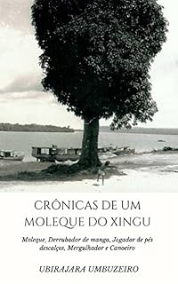 Livro Crônicas de um moleque do Xingu