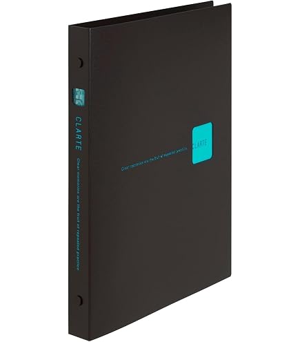 Amazon.com : Maruman File26 26-Ring Binder, Holds 250 Sheets, B5