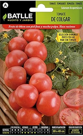 Semillas Hortícolas - Tomate Ace 55 VF - Batlle: Amazon.es: Jardín