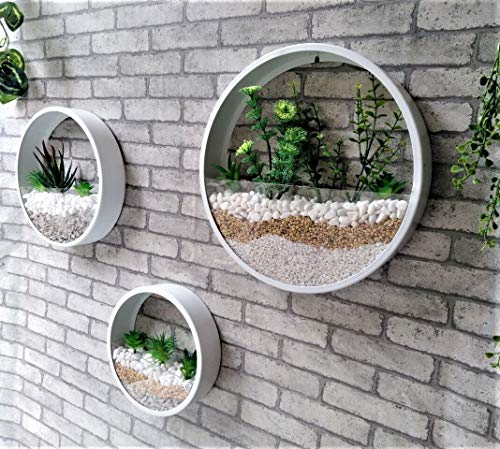 Pack of 3 White Round Wall Hanging Plant Terrarium Iron Planter Wall Hanging Container Succulent Plant Pots in Mixed Size