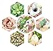 Yokoke Wedding Bridal Bouquet Holding Flower and Groom Boutonniere Artificial White Peony Berry Green Plants for Wedding Home Decor (Bouquet+2 pcs Corsage)