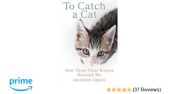 Amazon Com To Catch A Cat How Three Stray Kittens Rescued Me