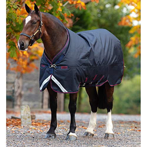 AMIGO Bravo 12 XL Turnout Blanket 250g 90