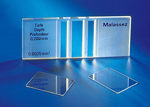 marienfeld 140536 Thin Type Double planée, 20 mm x 26 mm for Cell malassez, Neubauer, Thoma, fuchs-rosenthal, lemaur, Agasse Lafont (Pack of 10)