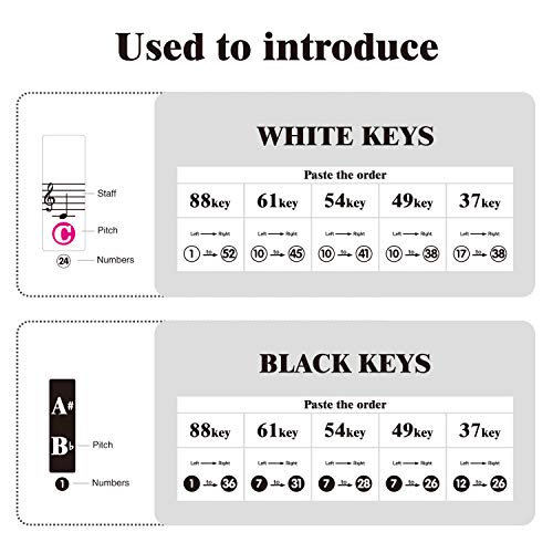 image for MAYA Piano Keyboard Stickers for 88/61/54/49/37 Key.Colorful Large Bol