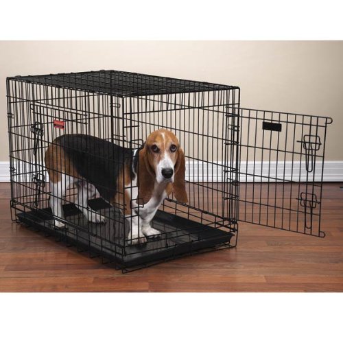 Everlasting Black Small Dog Crate Pet Crates Pet Supplies