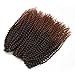 Kinky Curl 12 Inch Afro Kinky Twist Hair Soft Synthetic Crochet Braiding Hair Extention (12inch T30)