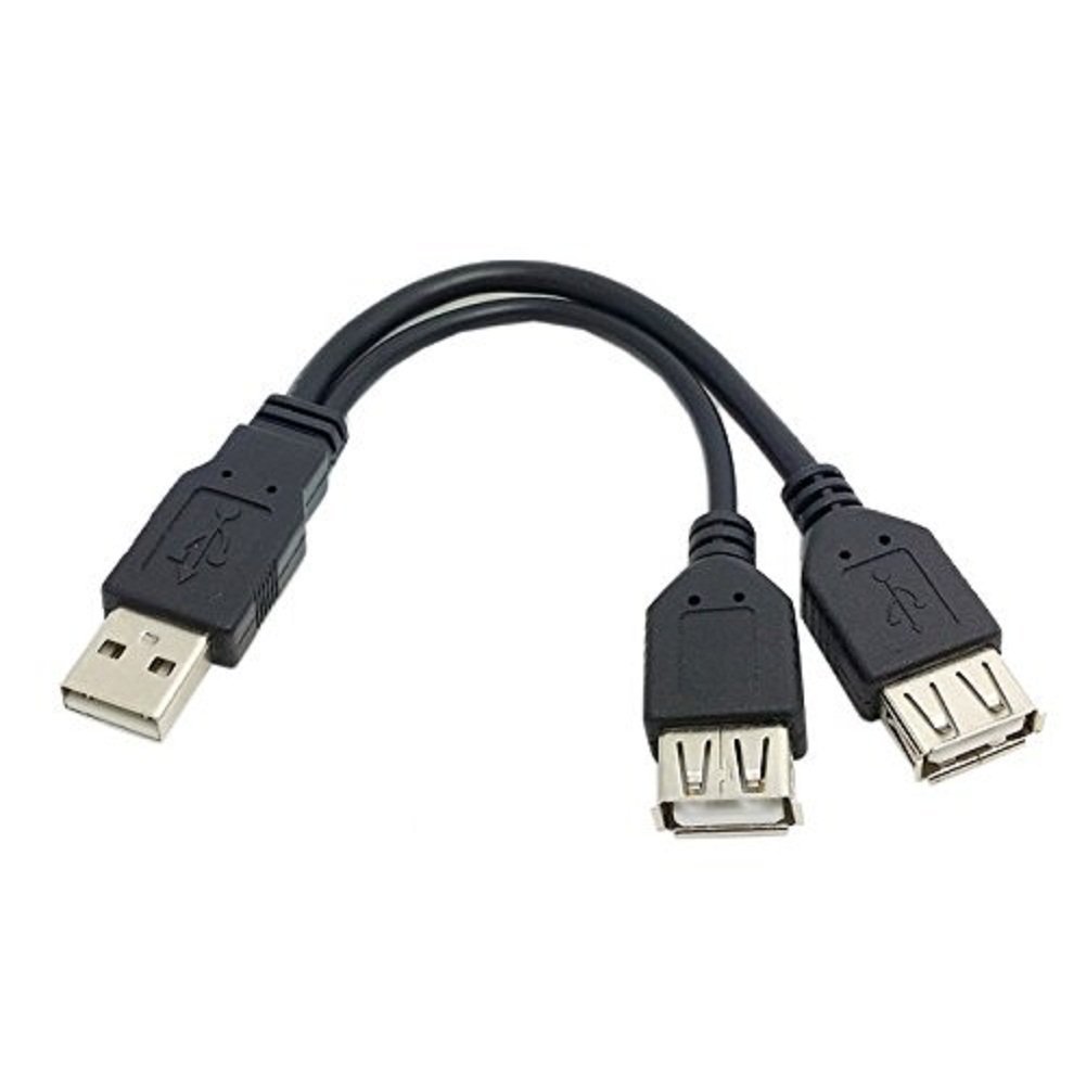 SmartEra® 20 cm USB 2.0 A Male Plug to 2 Dual USB A Female Jack Y Splitter Hub Adapter Extension Cable