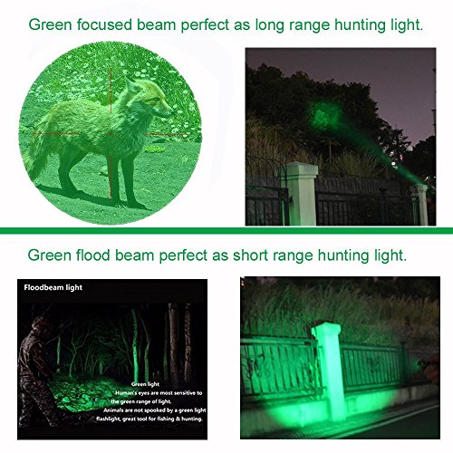 image for BESTSUN Green Light 350 Yards Predator Light Zoomable Tactical Hunting