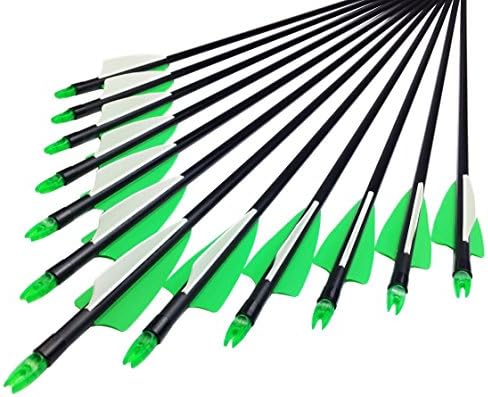 YONNEY Fiberglass Arrows 30-Inch Glass Fiber Arrows for Practice Hunting Outdoor (Pack of 12) for Traditional Recurve Bow & Composite Bow Hunting Bow - Green