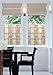 d-c-fix Self-Adhesive Privacy Glass Window Film, Arts & Crafts, 17.71