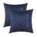 CaliTime Throw Pillow Covers Pack of 2 Modern Shining & Dull Contrast Circles Rings Accent Geometric Cushion Cases Shells for Couch Sofa Home Decor 20 X 20 Inches Navy Blue