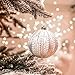 Valery Madelyn 6ct 100mm Frozen Winter Silver White Shatterproof Christmas Ball Ornaments Decoration,Themed with Tree Skirt(Not Included)