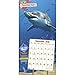Shark Week Wall Calendar (2019)