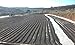 2lb Green Unroasted Coffee Brazil Acaia - From our family farm