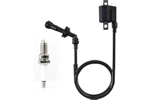 AYIDDUE Ignition Coil Spark Plug for Yamaha Grizzly 660 YFM660 2002-2008 Raptor 660R YFM660 2001-2005 Rhino 660 YXR660 2004-2007 3YF-82370-00-00 5FU-82310-00-00 3KJ-82310-10-00