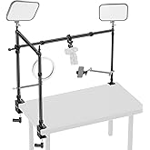 NEEWER Overhead Camera Mount Rig with Dual Ball Head Super Clamp/Phone Holder/C Clamp for Desktop Top Down Shots, Metal Multi