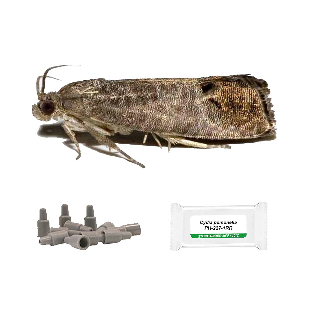 IPM Direct Pack of 3 Moth Trap Attractant Pheromones (Codling Moth)