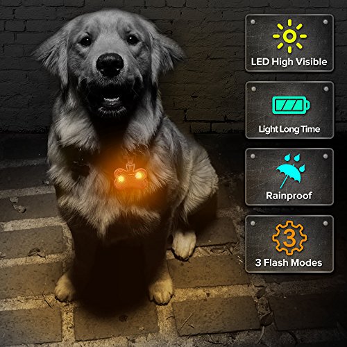 Pack of 2 PCS LED Dog Tag, Bone-Shape Light Up Pet Pendants, Glow in The Dark Pet ID Tags for Nighttime Dog Walking (Brown) - Thumbnail 6