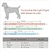 Beirui Brown Genuine Leather Dog Collars for Medium and Large Dogs Neck for 16-21 inches