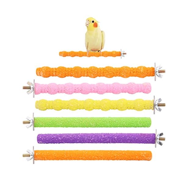 Wudong-6-Pezzi-posatoi-per-pappagalli-Gabbia-per-Uccelli-Colorata-Scrub-Stand-Bar-per-Uccelli-pappagalli-pappagallini-parrocchetto-Cockatiels-Conure-Lovebird-Cage-Paw-rettifica-Giocattolo Wudong 6 Pezzi posatoi per pappagalli, Gabbia per Uccelli Colorata Scrub Stand Bar per Uccelli pappagalli pappagallini…