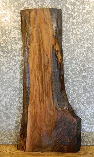 Sofa/Side Table Top Partial Live Edge Black Walnut Rustic Wood Slab T: 1 1/2'', W: 19 1/2'', L: 42 3/16'' - 1744