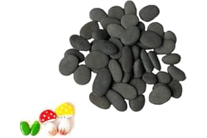 Lifetop 50pcs Tiny Painting Rocks DIY Rocks for Painting Detail-Painting Rocks Smooth Surface Stones,Arts and Crafts ，0.5 to 1.0 inches ，So Small Rocks,Hand Picked for Painting Rocks