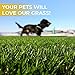 PZG Premium Artificial Grass Patch w/ Drainage Holes & Rubber Backing | 4-Tone Realistic Synthetic Grass Mat | 1.6-inch Blade Height | Lead-Free Fake Grass for Dogs or Outdoor Decor | Size: 5' x 3.3'