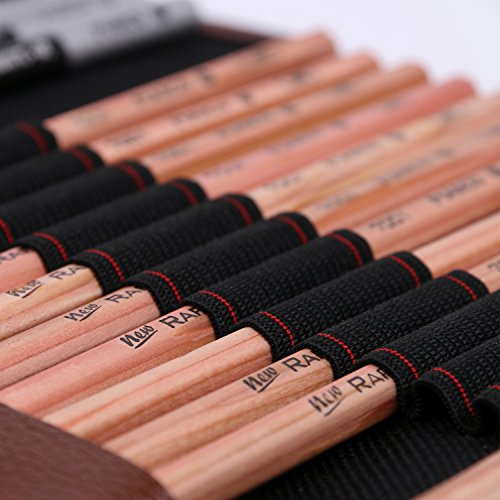 Aookey Sketching Pencils Art Set, Drawing Pencils Art Supplies with Graphite/Charcoal Pencils Blenders Starter Kit, Black